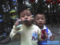 阳光下的泡泡